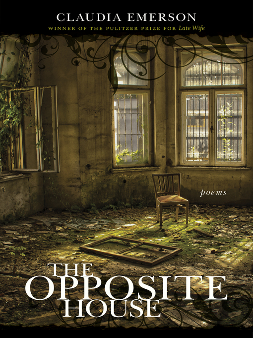 Cover image for The Opposite House